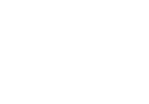 Bat - Tok Digital Agency